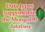 Data types supported in the MongoDB database